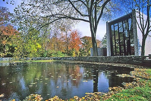 Brandeis University 대표 사진