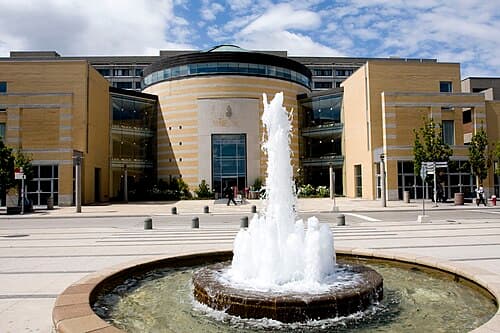 York University 사진 2