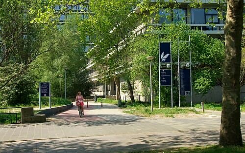 VU Amsterdam 사진 3