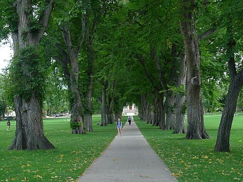 Colorado State University 사진 3