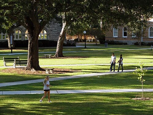 Tulane University 사진 2