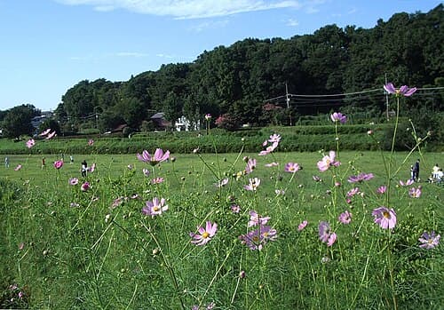 Tokyo University of Agriculture and Technology 사진 3