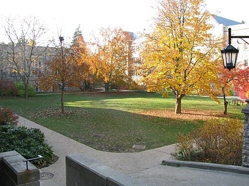 Western University 사진 2