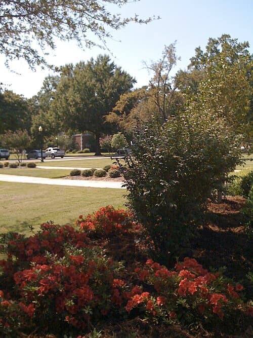 University of Central Arkansas 사진 2