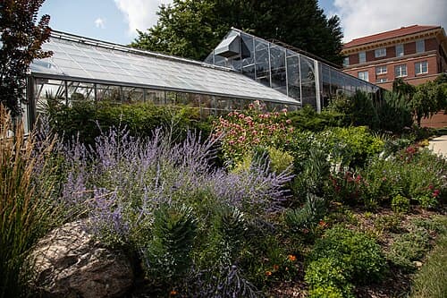 University of Northern Iowa 사진 3